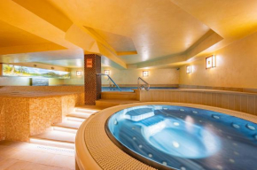 David Wellness Hotel